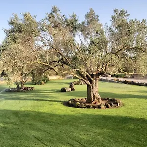 https://su-sattisceddu.in-sardinia.net